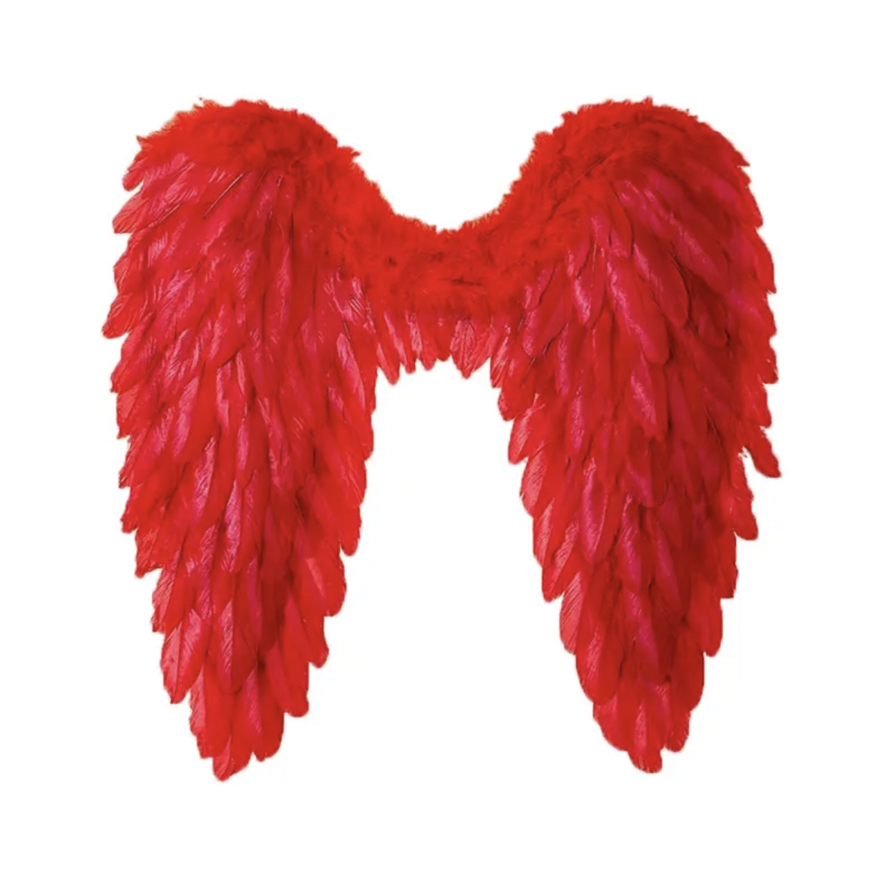 Angel wings