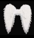 Angel wings